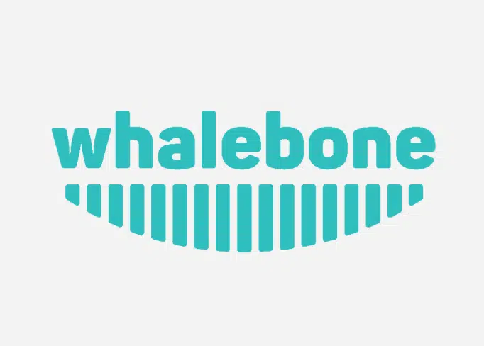 Whalebone