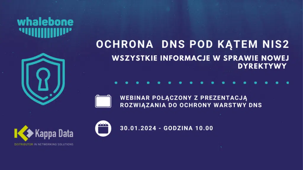 Webinar Ochrona DNS