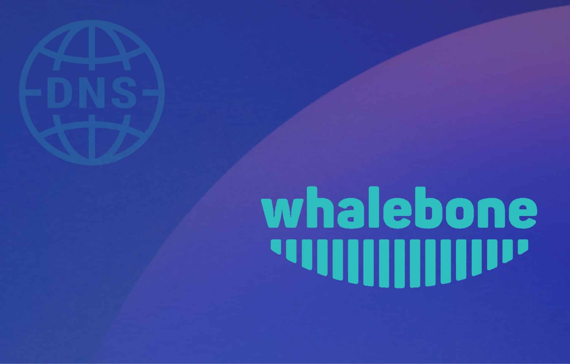 System nazw domenowych (DNS) stanowi fundament działania internetu.